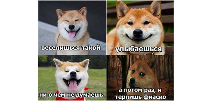 Откуда фраза это фиаско, братан, что значит мем, полное видео: откуда прикол про братана