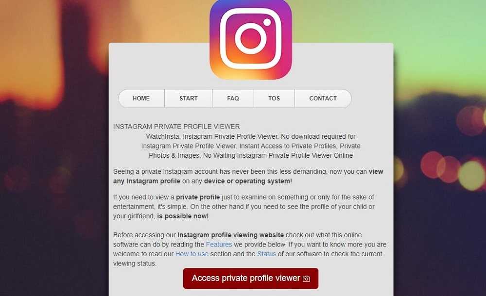 11 of the best instagram profile viewer to try out in 2022 🤴