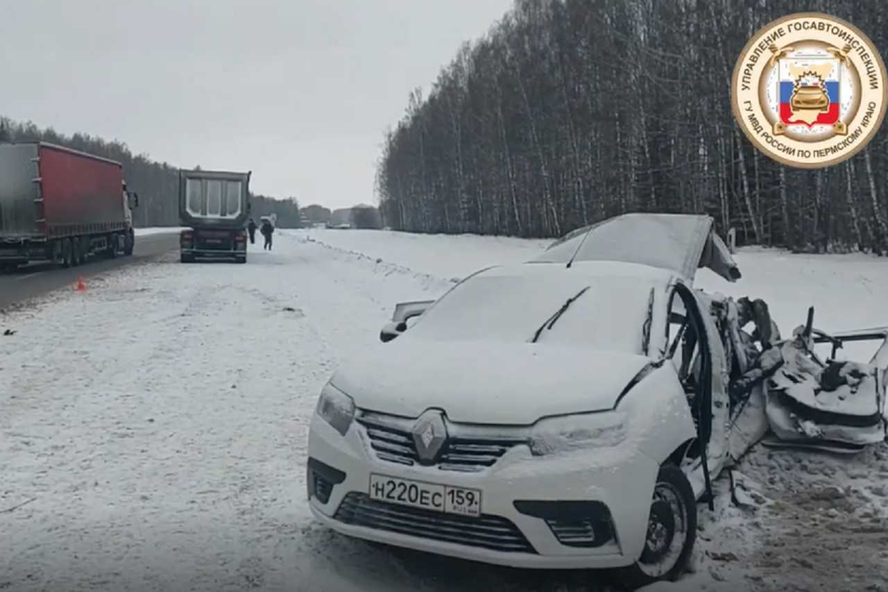 Топ авто из конфиската беларуси в декабре 2023 года