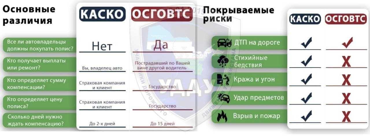 Проверка полиса осаго на подлинность: два главных способа