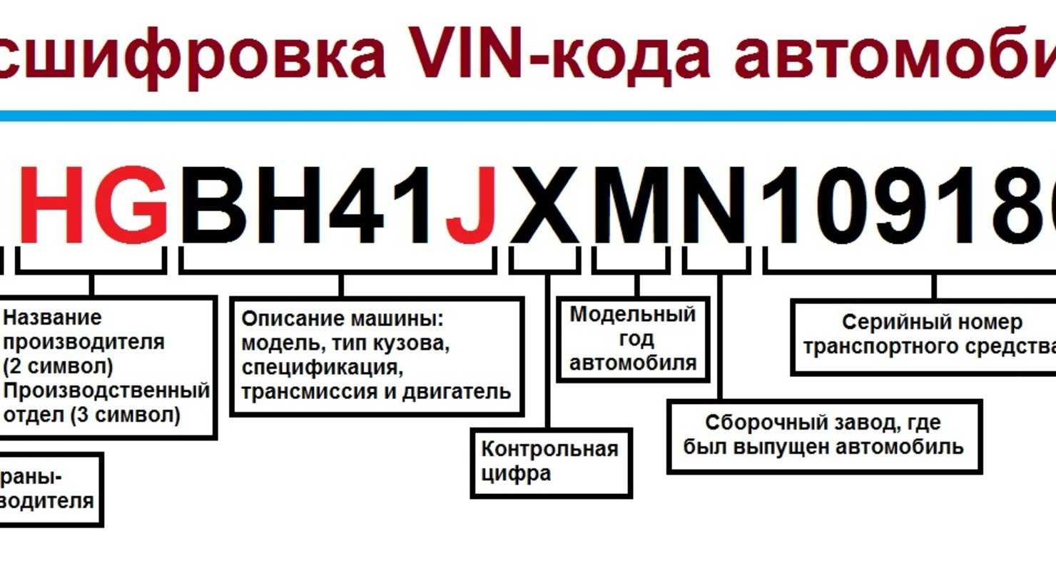 Как узнать вин авто по гос номеру: лучшие способы 🦈 avtoshark.com