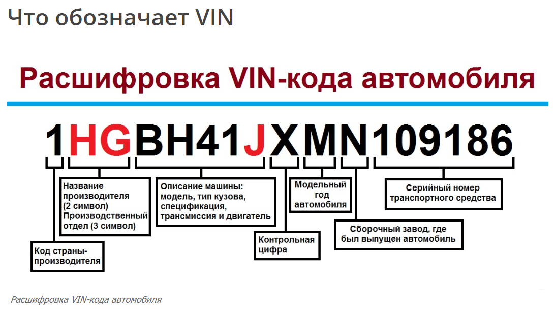 Проверка авто по вин таможня
