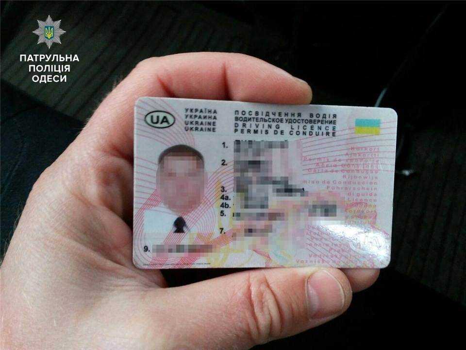 Как сделать поддельные водительские права в домашних условиях | адвокат онлайн