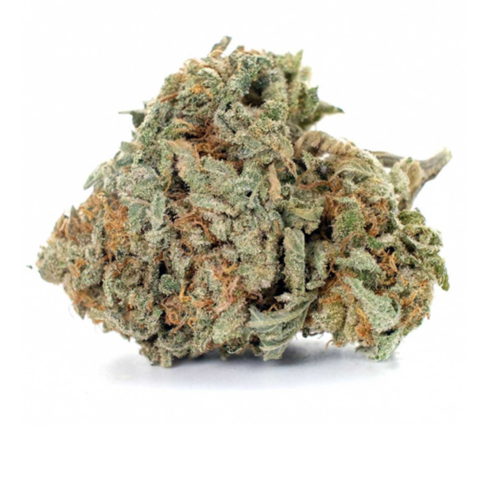 Og kush auto grow report: guerrilla growing in russia