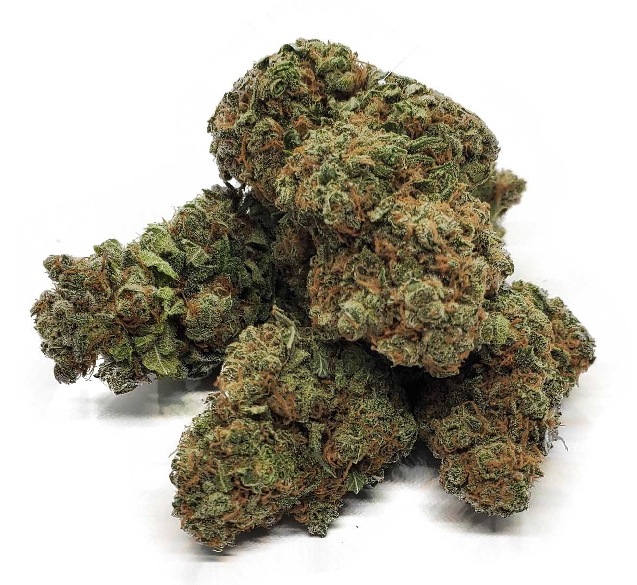 Variety gorilla glue [all the information]
