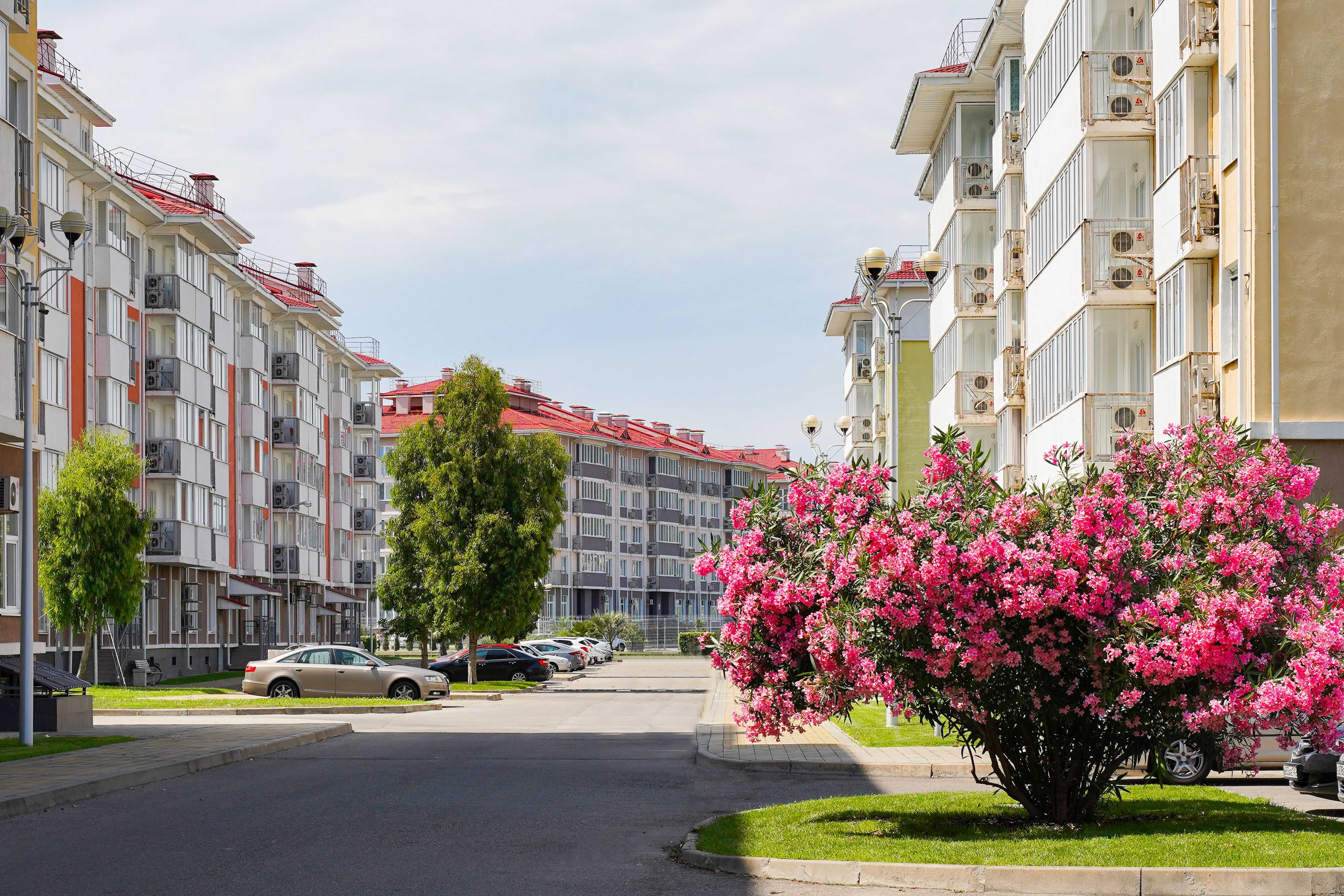 Прокат автомобилей в городе-отеле Бархатные сезоны г Сочи