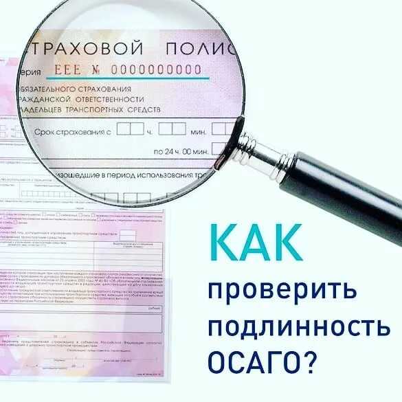 Как узнать что входит в полис каско? - quepaw