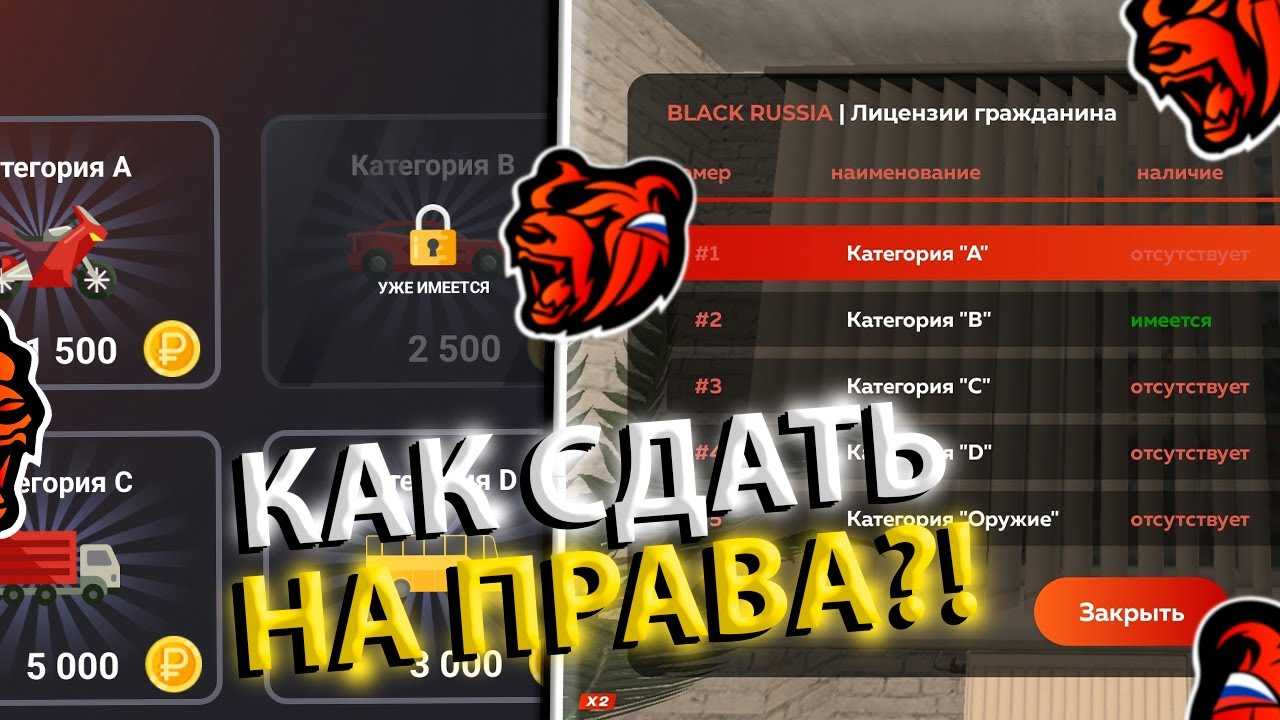 Экзамен в блэк раша ответы автошкола на машинах