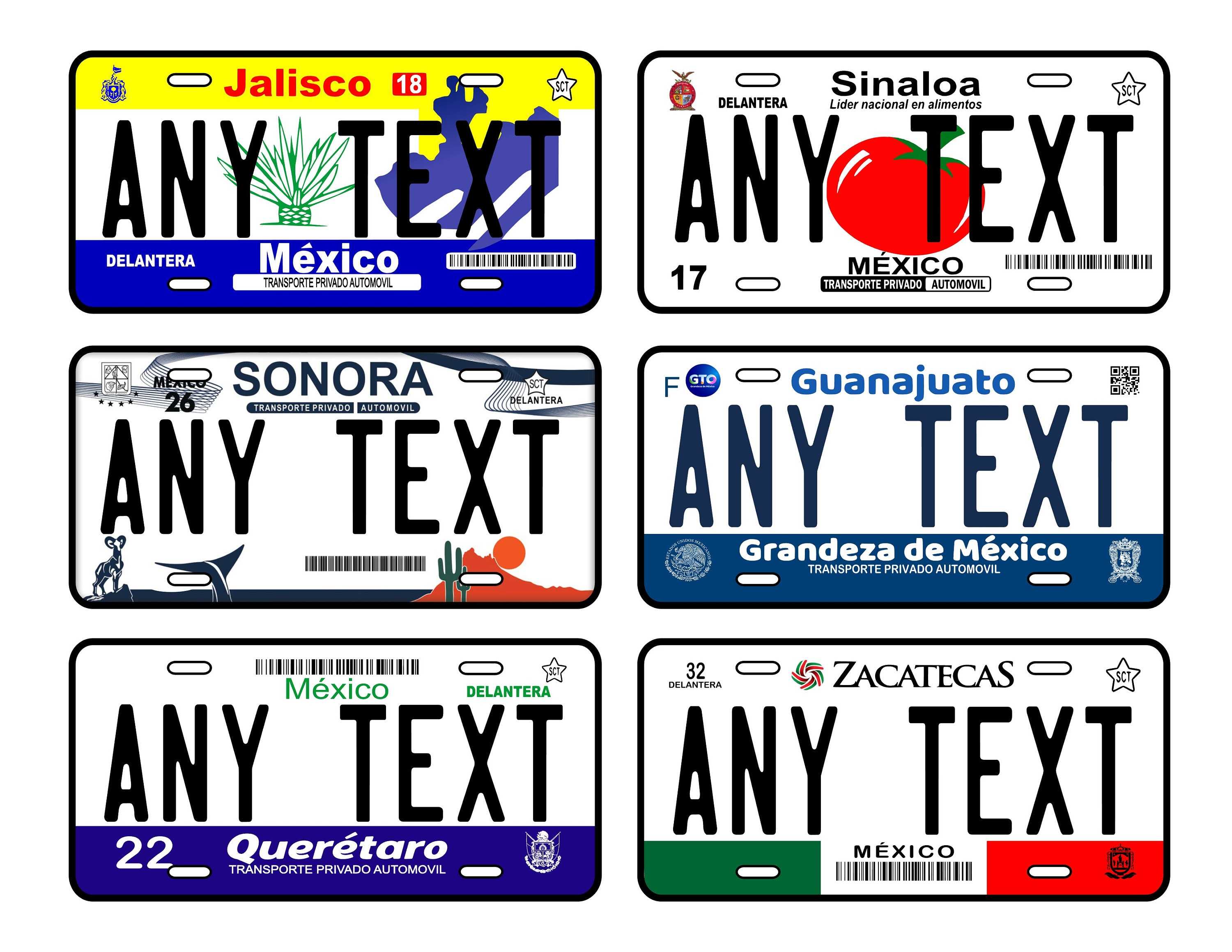 Custom japanese license plates