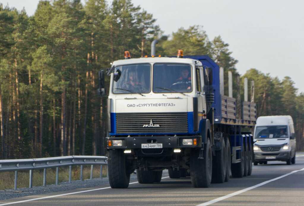 Аукцион конфискованных автомобилей и его особенности в россии