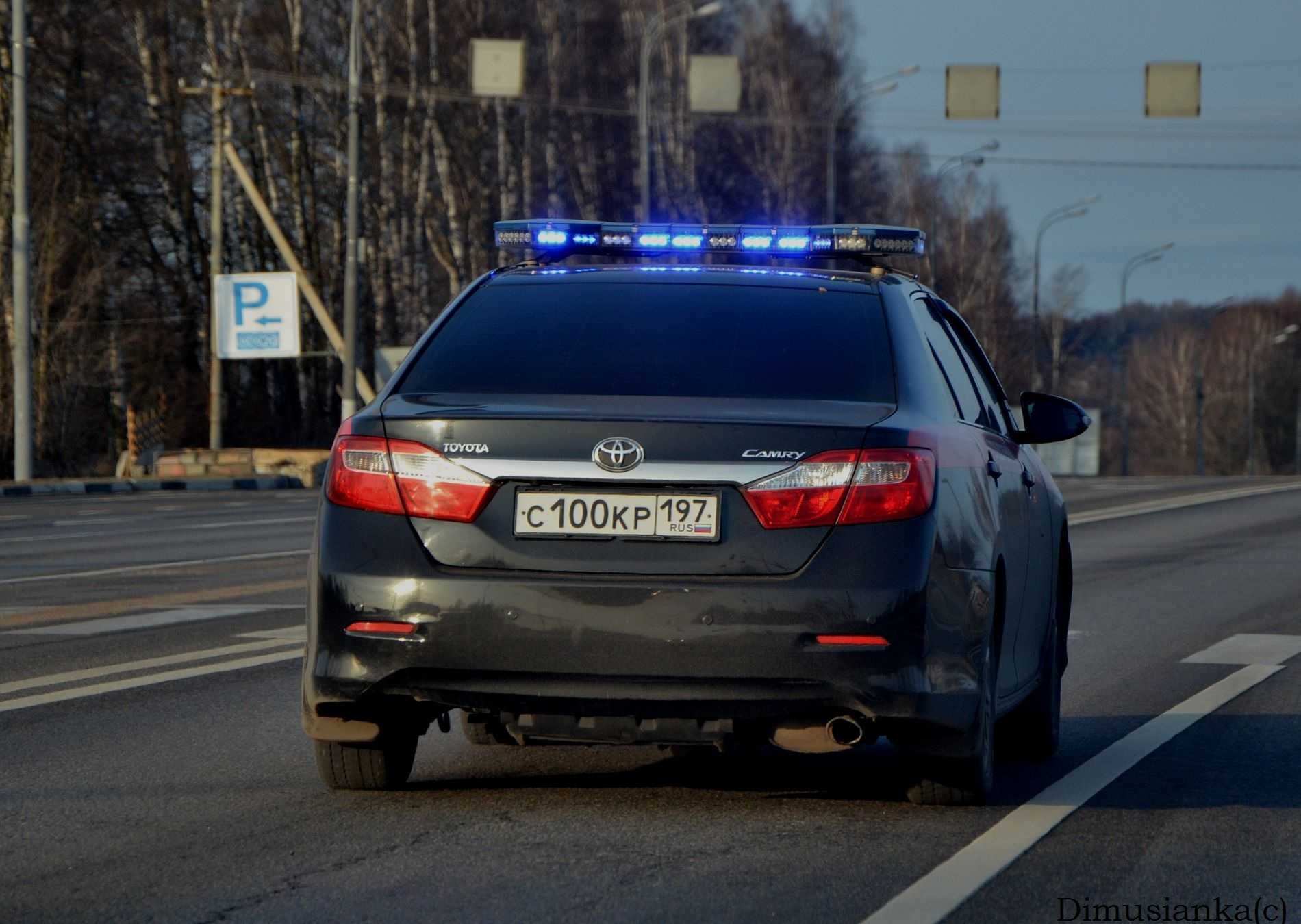 Договор дарения автомобиля между близкими родственниками: документы, правила оформления дарственной